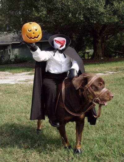 Chocolate shop lab costumes